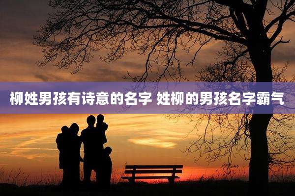 柳姓男孩有诗意的名字 姓柳的男孩名字霸气