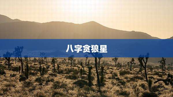 八字贪狼星