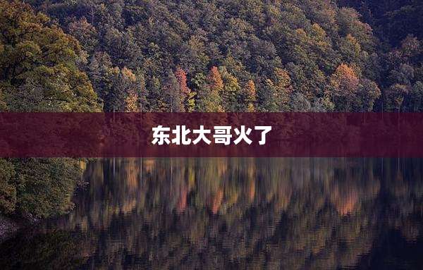 东北大哥火了