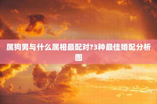 属狗男与什么属相最配对?3种最佳婚配分析图