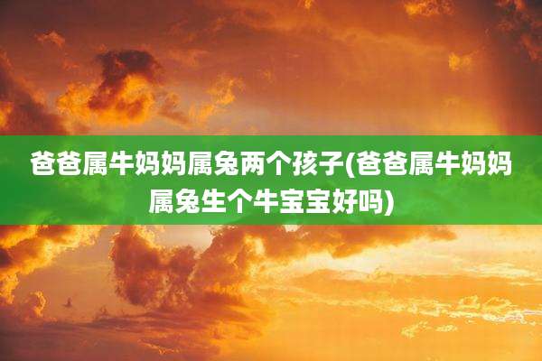 爸爸属牛妈妈属兔两个孩子(爸爸属牛妈妈属兔生个牛宝宝好吗)