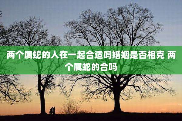 两个属蛇的人在一起合适吗婚姻是否相克 两个属蛇的合吗