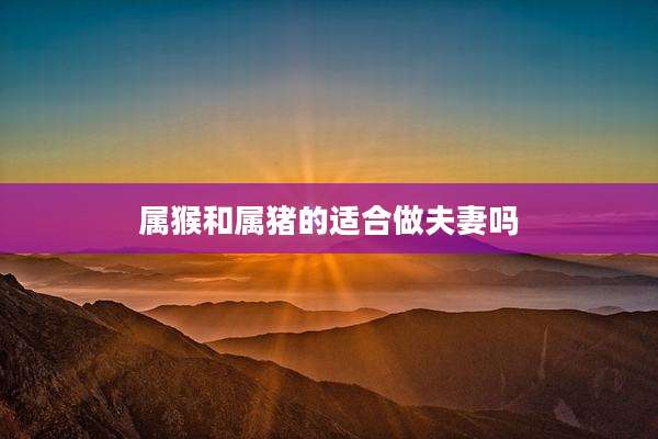 属猴和属猪的适合做夫妻吗