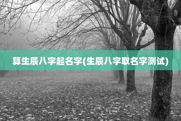 算生辰八字起名字(生辰八字取名字测试)
