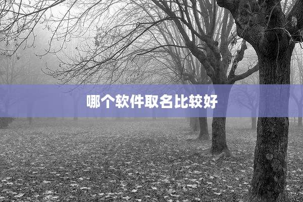 哪个软件取名比较好