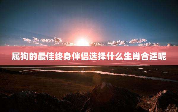 属狗的最佳终身伴侣选择什么生肖合适呢