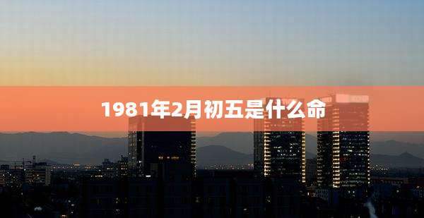 1981年2月初五是什么命