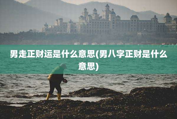 男走正财运是什么意思(男八字正财是什么意思)