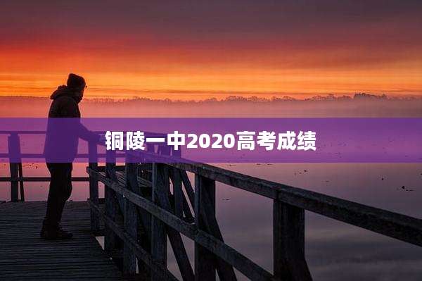 铜陵一中2020高考成绩