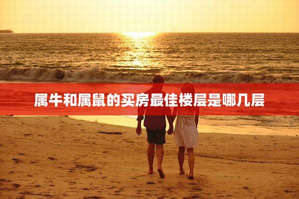 属牛和属鼠的买房最佳楼层是哪几层
