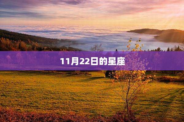 11月22日的星座