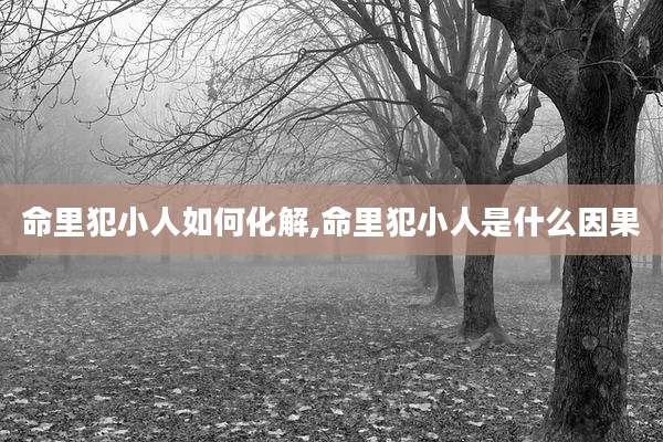命里犯小人如何化解,命里犯小人是什么因果