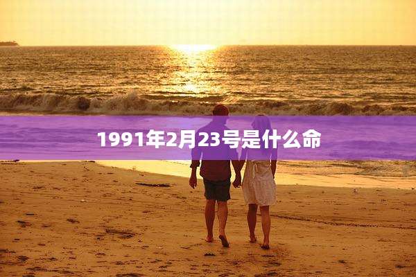 1991年2月23号是什么命