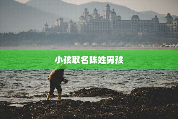 小孩取名陈姓男孩