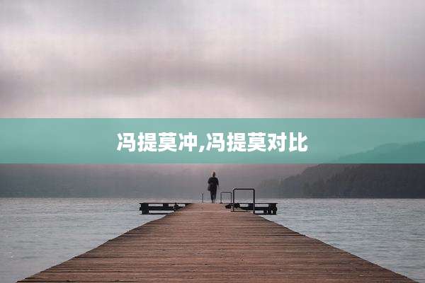 冯提莫冲,冯提莫对比