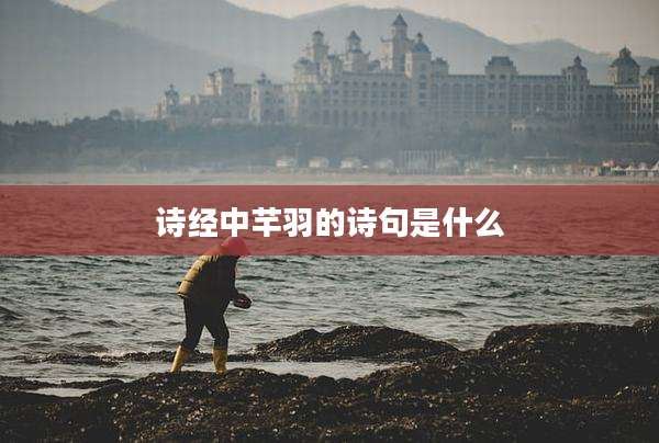 诗经中芊羽的诗句是什么
