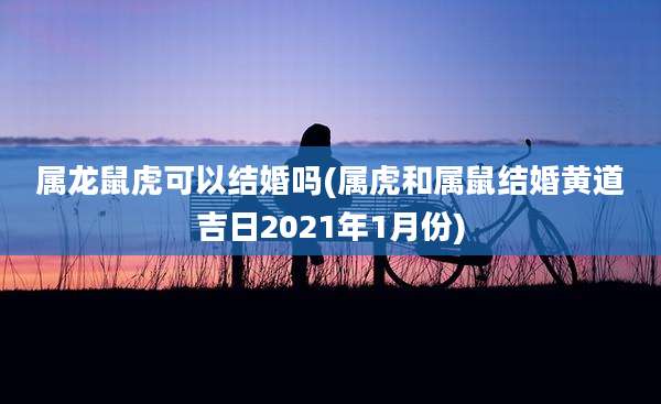 属龙鼠虎可以结婚吗(属虎和属鼠结婚黄道吉日2021年1月份)