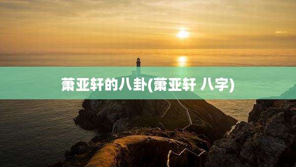萧亚轩的八卦(萧亚轩 八字)