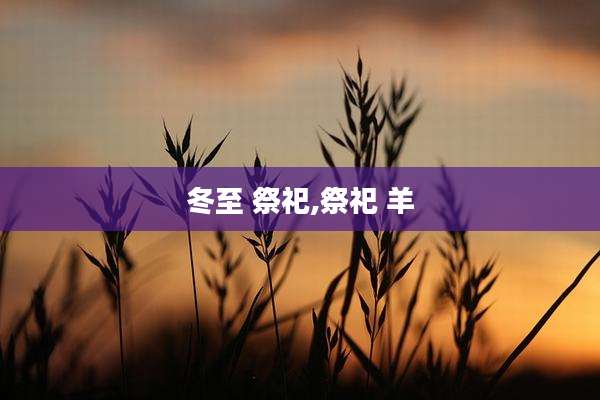冬至 祭祀,祭祀 羊