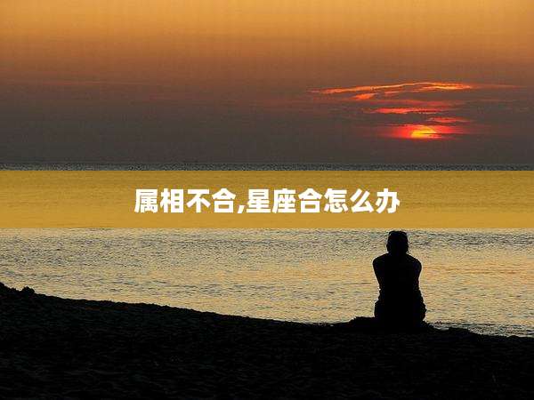 属相不合,星座合怎么办