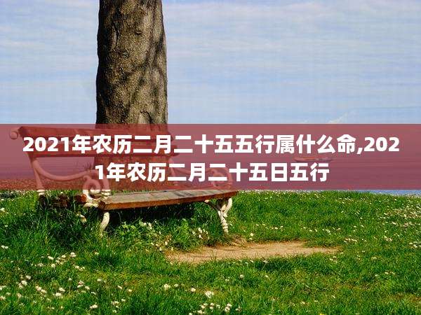 2021年农历二月二十五五行属什么命,2021年农历二月二十五日五行