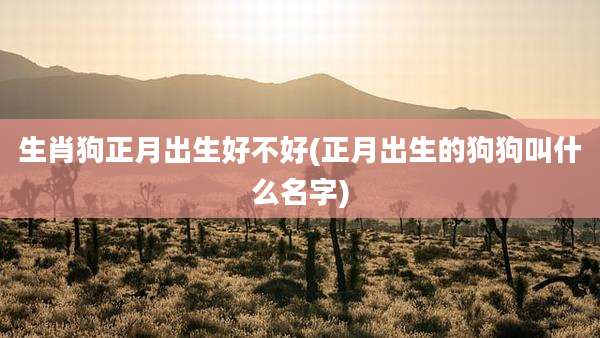 生肖狗正月出生好不好(正月出生的狗狗叫什么名字)