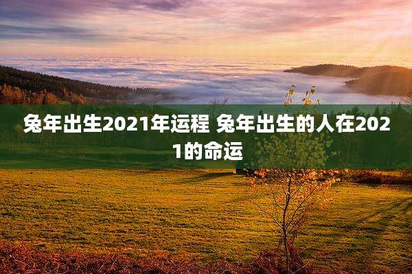 兔年出生2021年运程 兔年出生的人在2021的命运
