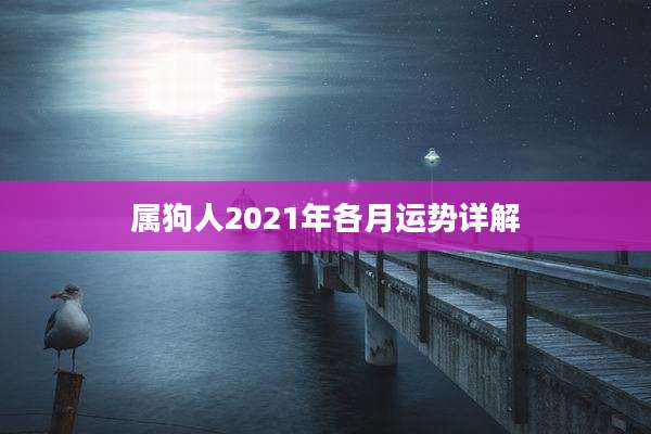 属狗人2021年各月运势详解