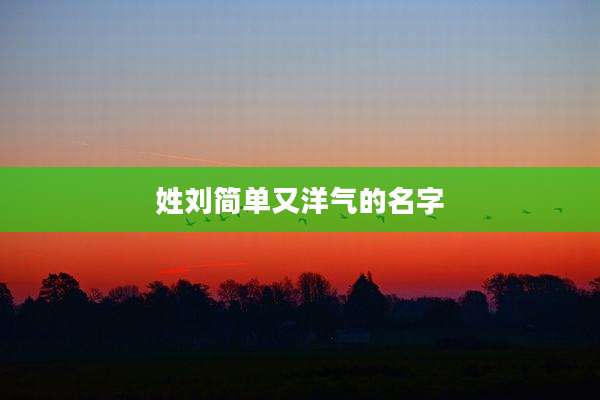 姓刘简单又洋气的名字