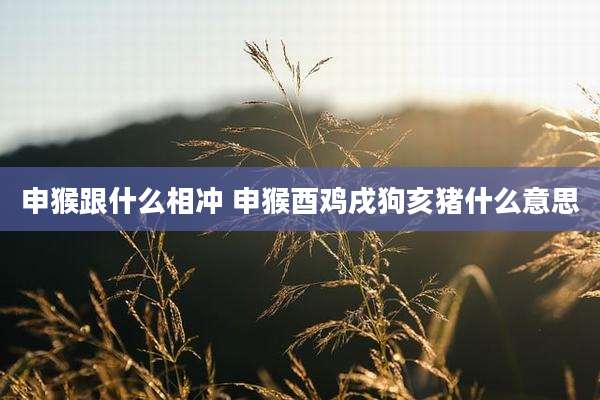 申猴跟什么相冲 申猴酉鸡戌狗亥猪什么意思