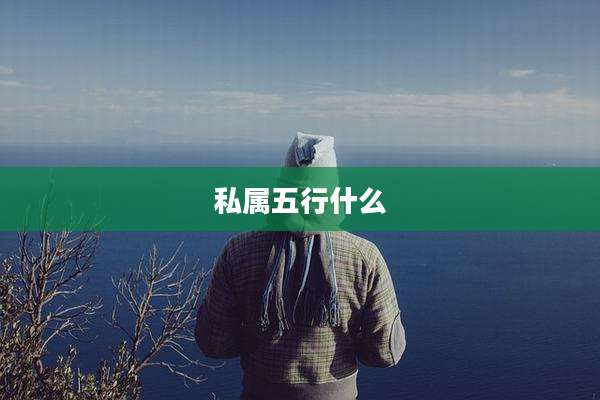 私属五行什么