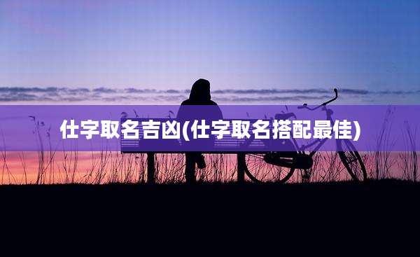 仕字取名吉凶(仕字取名搭配最佳)