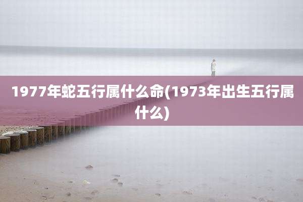 1977年蛇五行属什么命(1973年出生五行属什么)