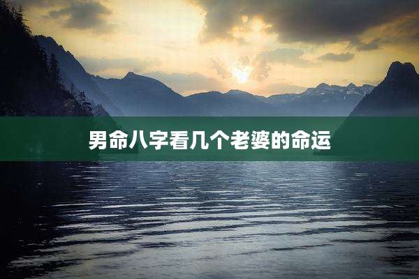 男命八字看几个老婆的命运