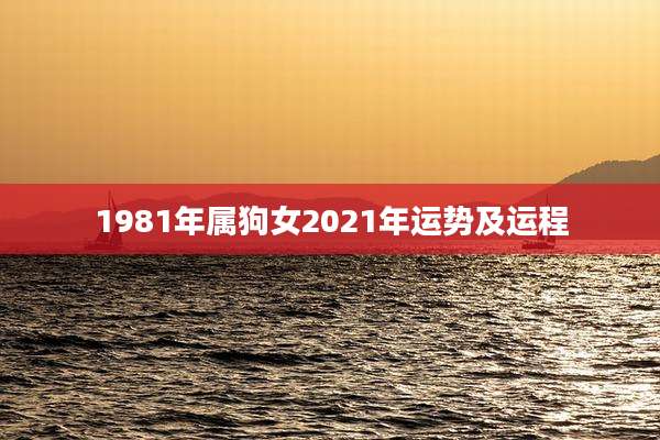 1981年属狗女2021年运势及运程