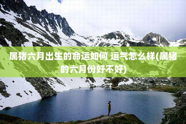 属猪六月出生的命运如何 运气怎么样(属猪的六月份好不好)