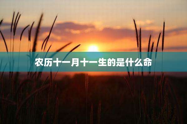 农历十一月十一生的是什么命