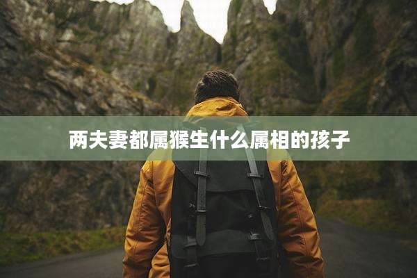 两夫妻都属猴生什么属相的孩子