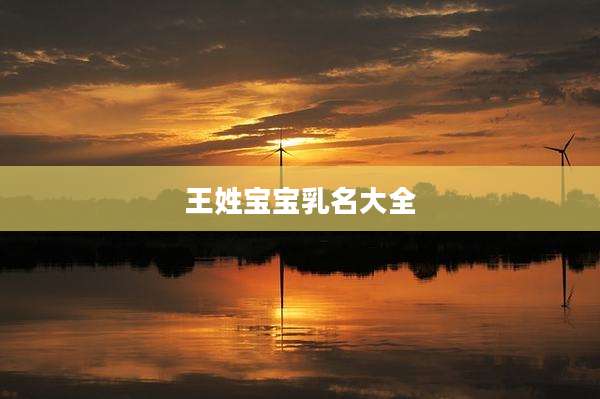 王姓宝宝乳名大全