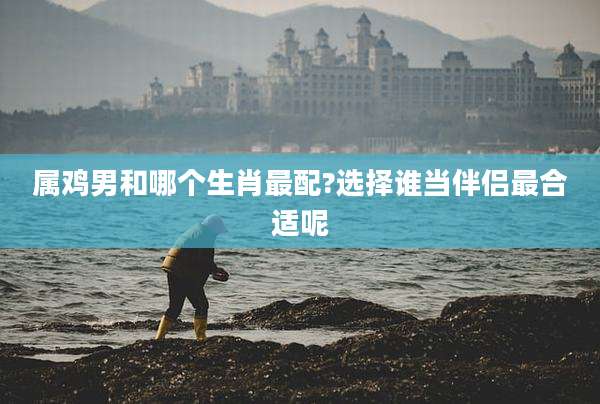 属鸡男和哪个生肖最配?选择谁当伴侣最合适呢