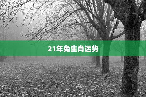 21年兔生肖运势
