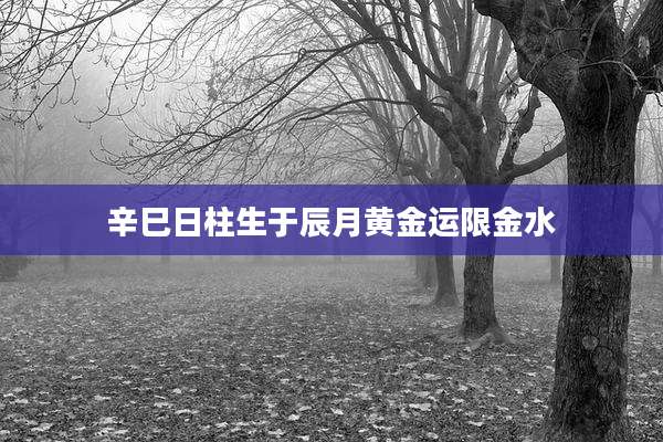 辛巳日柱生于辰月黄金运限金水