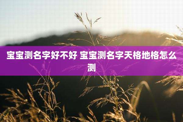 宝宝测名字好不好 宝宝测名字天格地格怎么测