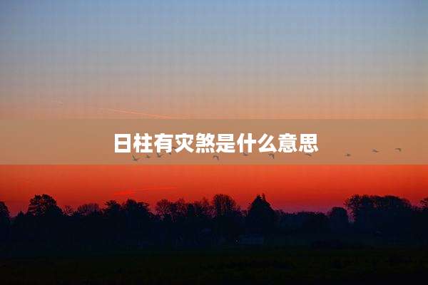 日柱有灾煞是什么意思