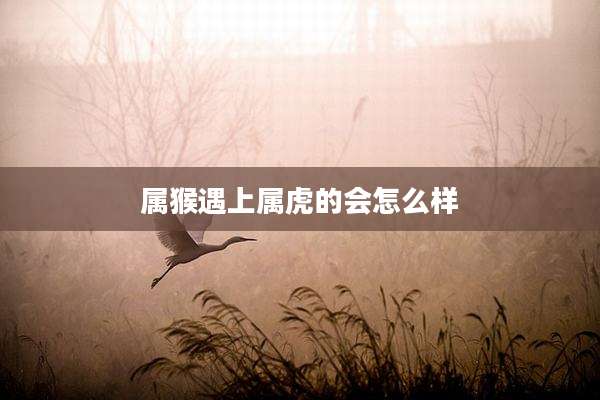 属猴遇上属虎的会怎么样
