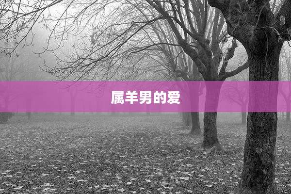 属羊男的爱