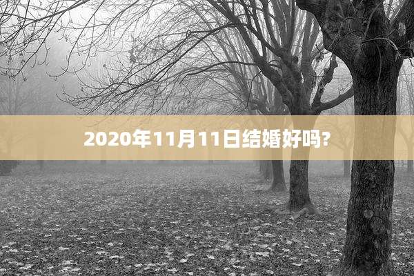 2020年11月11日结婚好吗?