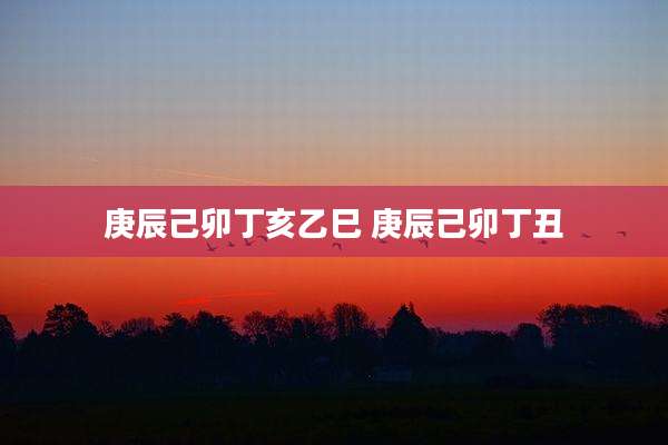 庚辰己卯丁亥乙巳 庚辰己卯丁丑