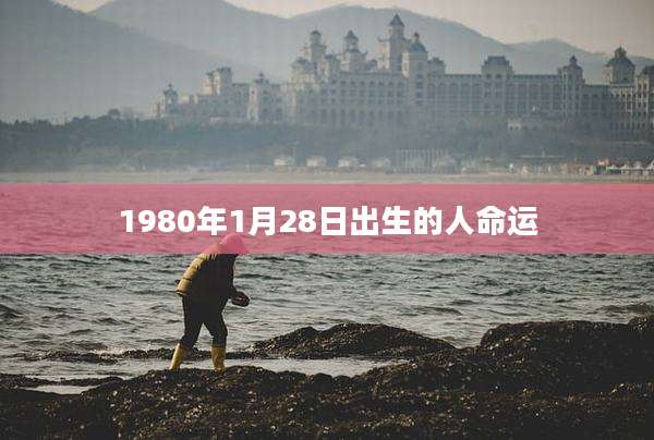 1980年1月28日出生的人命运