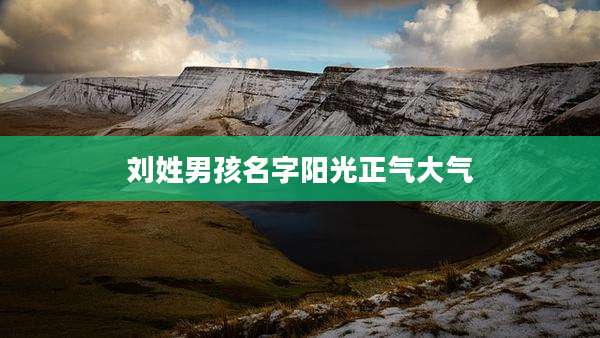刘姓男孩名字阳光正气大气